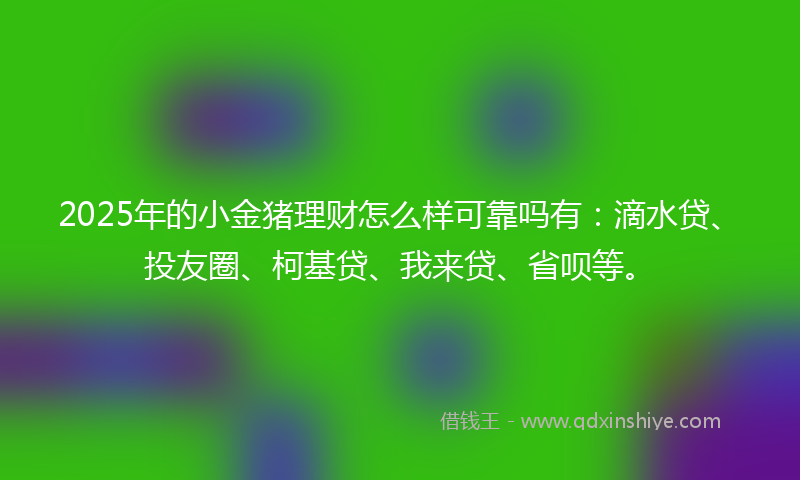 2025年的小金猪理财怎么样可靠吗有：滴水贷、投友圈、柯基贷、我来贷、省呗等。