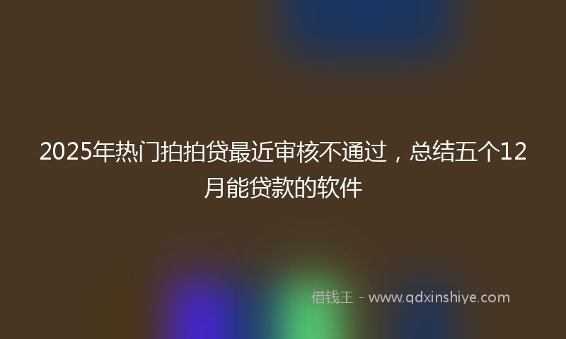 2025年热门拍拍贷最近审核不通过，总结五个12月能贷款的软件