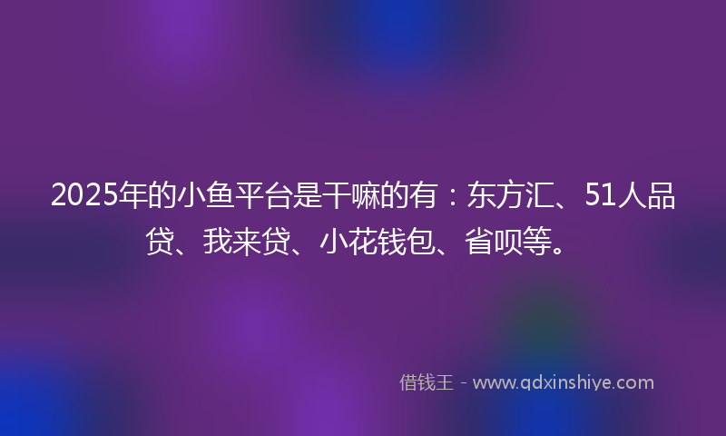 2025年的小鱼平台是干嘛的有：东方汇、51人品贷、我来贷、小花钱包、省呗等。
