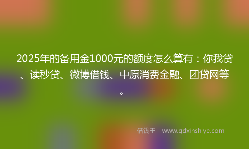 2025年的备用金1000元的额度怎么算有：你我贷、读秒贷、微博借钱、中原消费金融、团贷网等。