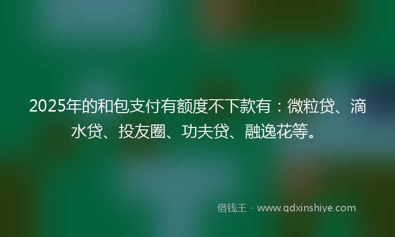 2025年的和包支付有额度不下款有：微粒贷、滴水贷、投友圈、功夫贷、融逸花等。