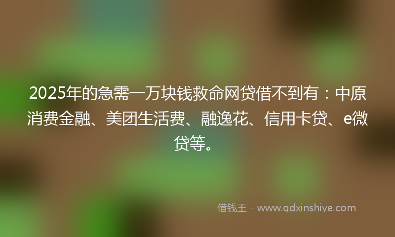 2025年的急需一万块钱救命网贷借不到有：中原消费金融、美团生活费、融逸花、信用卡贷、e微贷等。