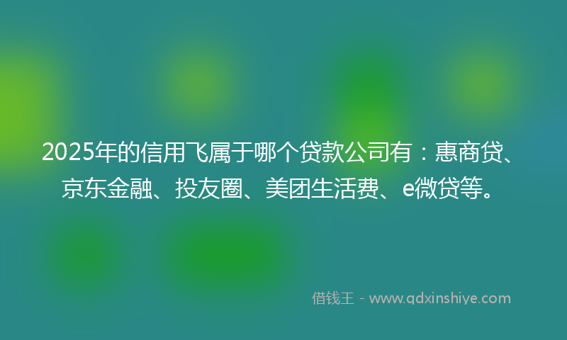 2025年的信用飞属于哪个贷款公司有：惠商贷、京东金融、投友圈、美团生活费、e微贷等。