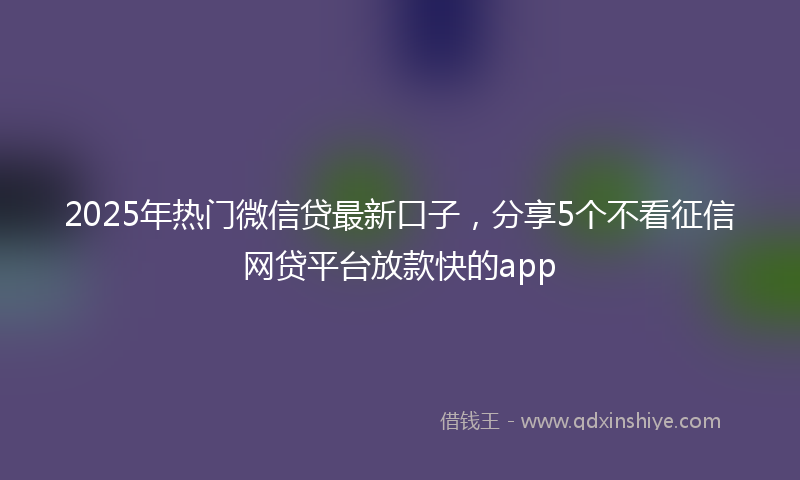 2025年热门微信贷最新口子，分享5个不看征信网贷平台放款快的app