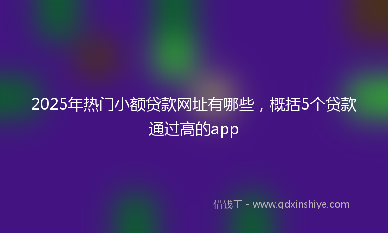 2025年热门小额贷款网址有哪些，概括5个贷款通过高的app