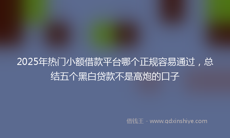 2025年热门小额借款平台哪个正规容易通过，总结五个黑白贷款不是高炮的口子