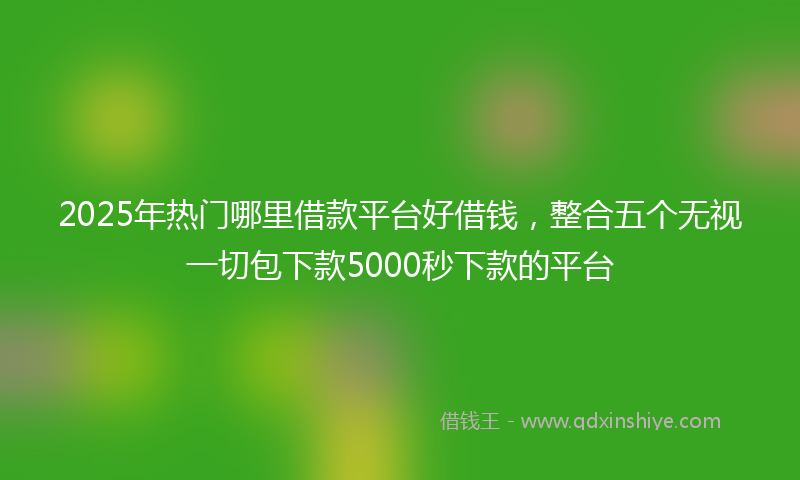 2025年热门哪里借款平台好借钱，整合五个无视一切包下款5000秒下款的平台