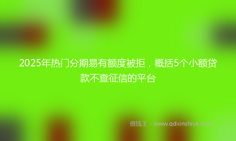 2025年热门分期易有额度被拒，概括5个小额贷款不查征信的平台