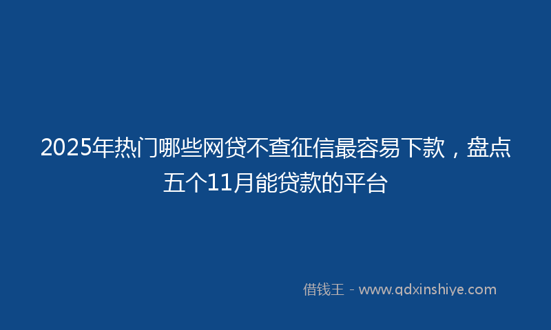 2025年热门哪些网贷不查征信最容易下款，盘点五个11月能贷款的平台