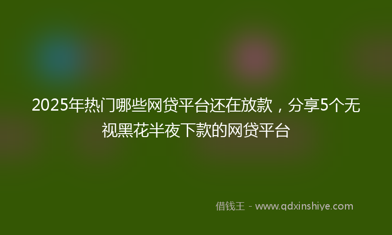 2025年热门哪些网贷平台还在放款，分享5个无视黑花半夜下款的网贷平台