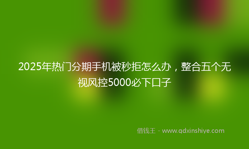 2025年热门分期手机被秒拒怎么办，整合五个无视风控5000必下口子