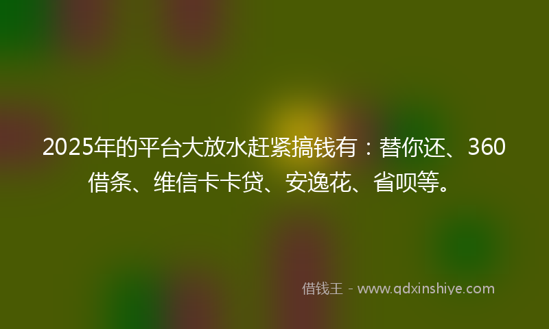 2025年的平台大放水赶紧搞钱有：替你还、360借条、维信卡卡贷、安逸花、省呗等。