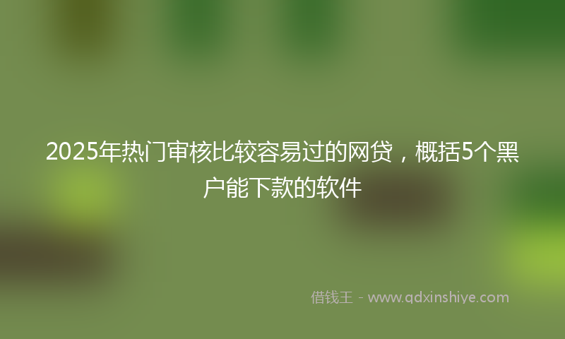 2025年热门审核比较容易过的网贷，概括5个黑户能下款的软件