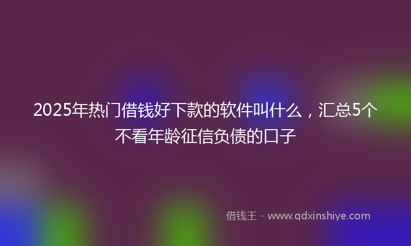 2025年热门借钱好下款的软件叫什么，汇总5个不看年龄征信负债的口子