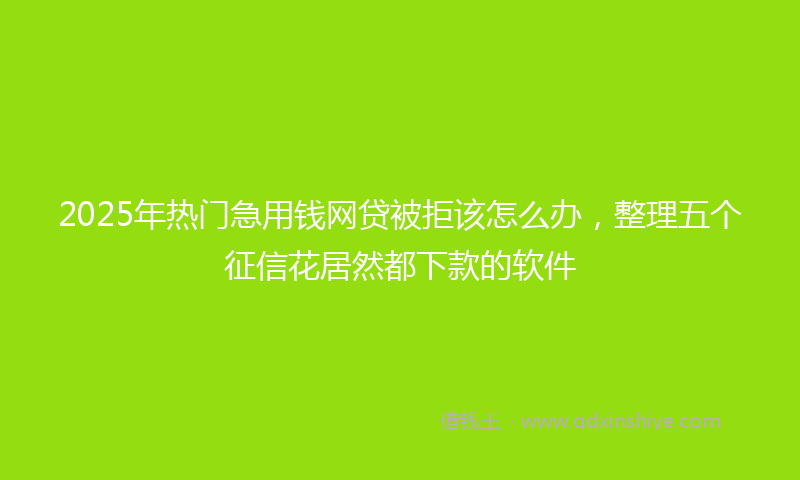 2025年热门急用钱网贷被拒该怎么办，整理五个征信花居然都下款的软件