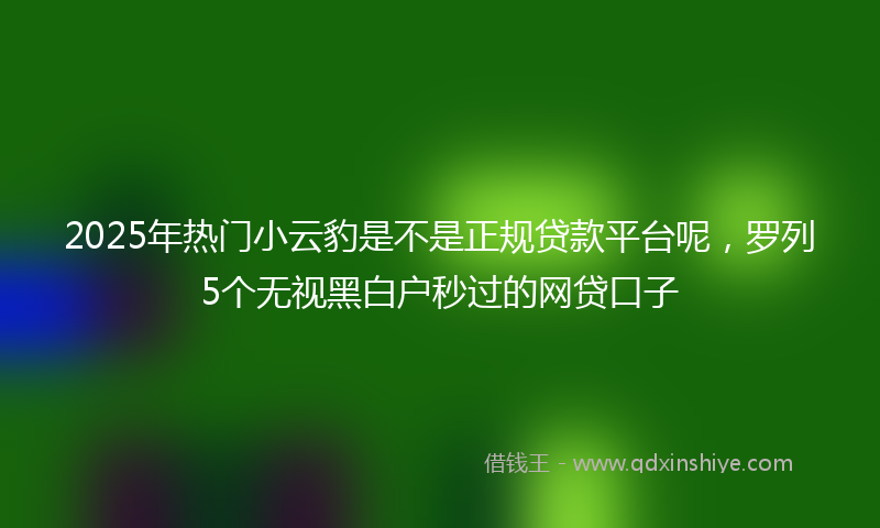 2025年热门小云豹是不是正规贷款平台呢，罗列5个无视黑白户秒过的网贷口子