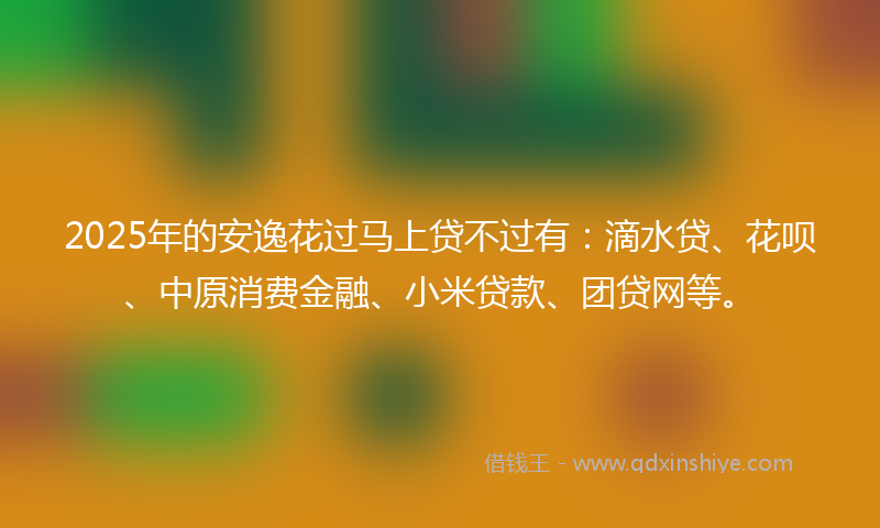 2025年的安逸花过马上贷不过有：滴水贷、花呗、中原消费金融、小米贷款、团贷网等。