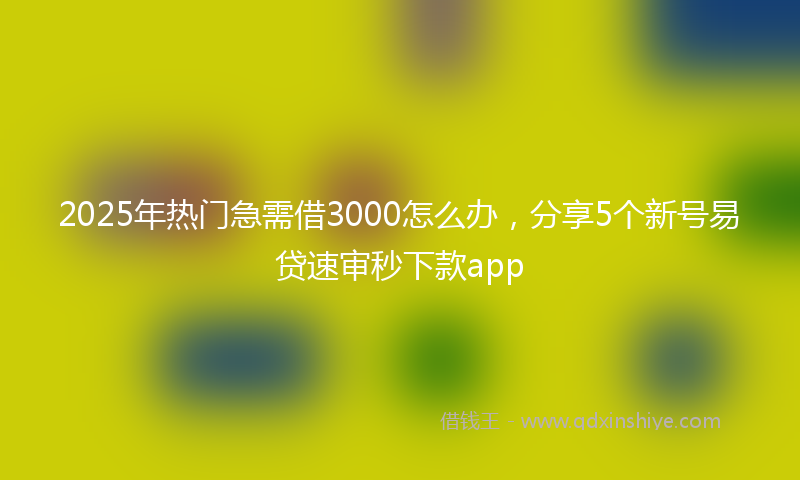 2025年热门急需借3000怎么办，分享5个新号易贷速审秒下款app
