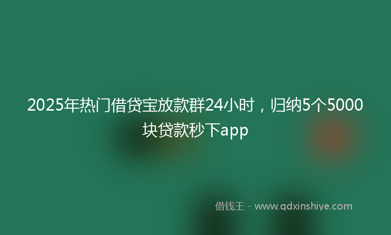 2025年热门借贷宝放款群24小时，归纳5个5000块贷款秒下app