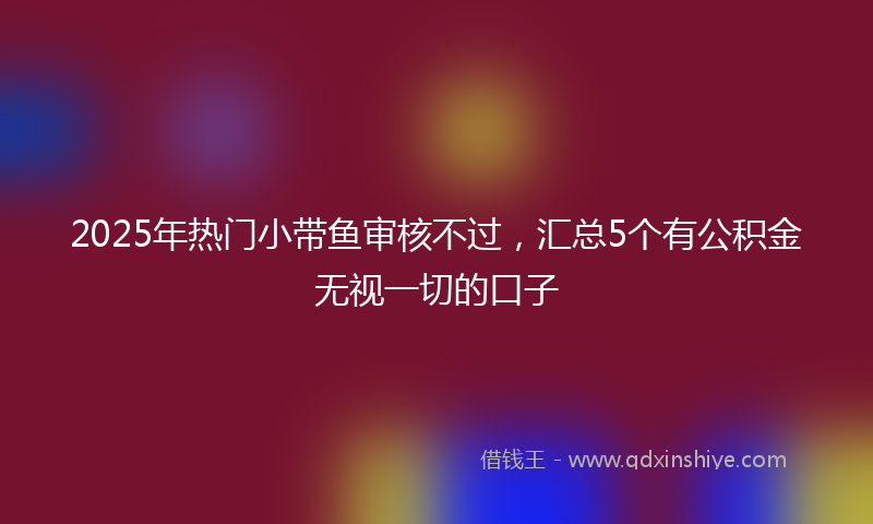 2025年热门小带鱼审核不过，汇总5个有公积金无视一切的口子