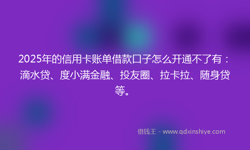 2025年的信用卡账单借款口子怎么开通不了有：滴水贷、度小满金融、投友圈、拉卡拉、随身贷等。