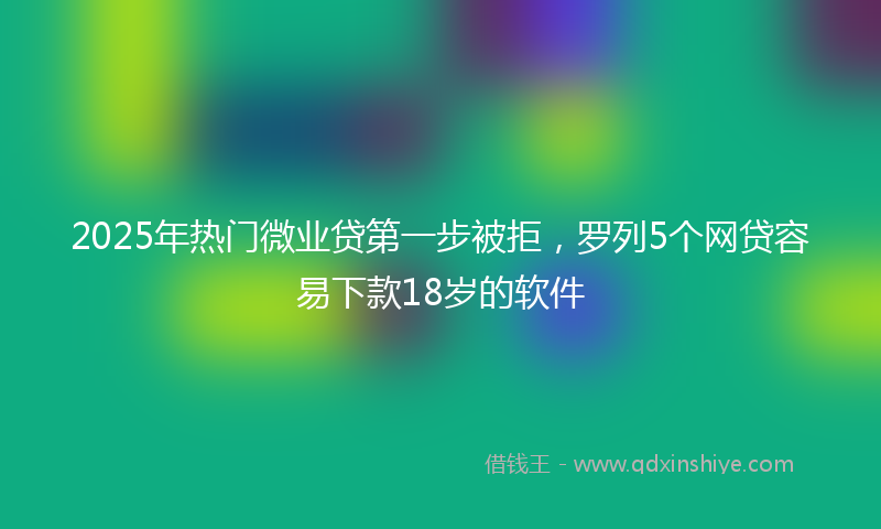 2025年热门微业贷第一步被拒，罗列5个网贷容易下款18岁的软件