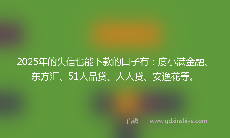 2025年的失信也能下款的口子有：度小满金融、东方汇、51人品贷、人人贷、安逸花等。