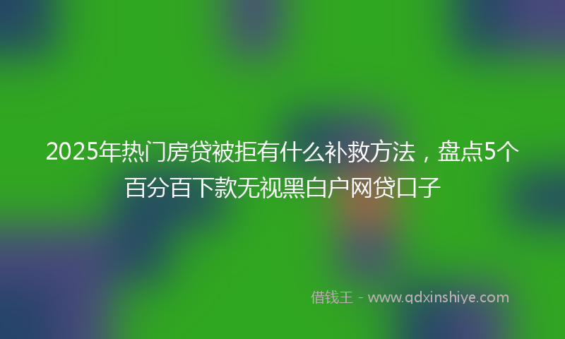 2025年热门房贷被拒有什么补救方法，盘点5个百分百下款无视黑白户网贷口子