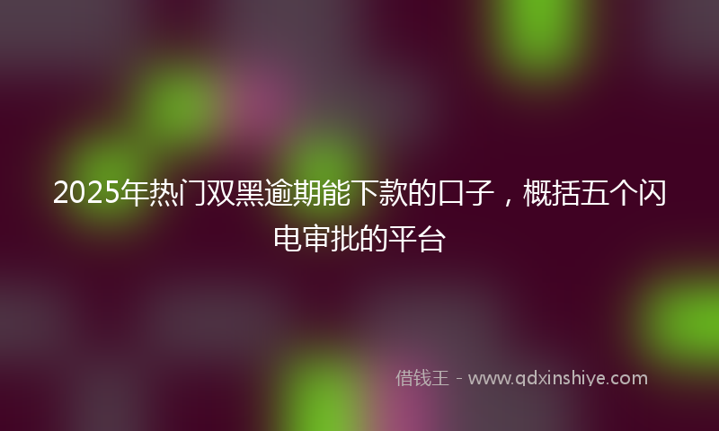 2025年热门双黑逾期能下款的口子，概括五个闪电审批的平台