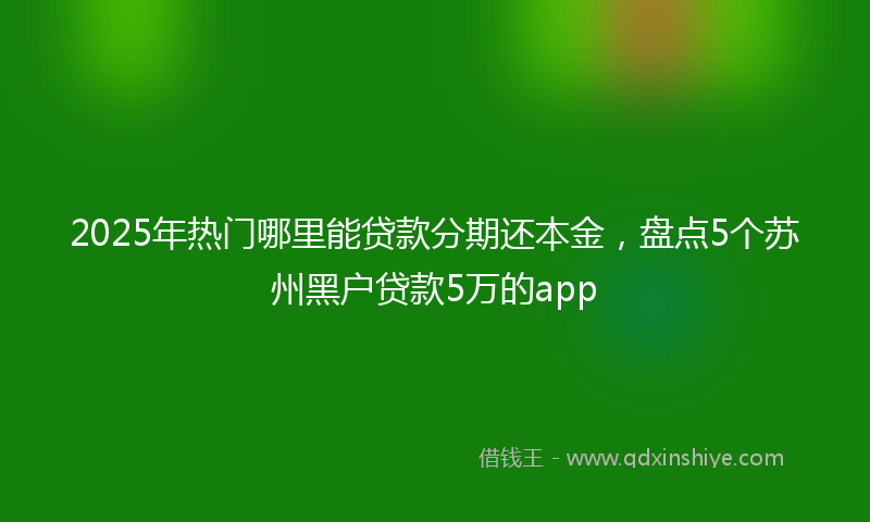2025年热门哪里能贷款分期还本金，盘点5个苏州黑户贷款5万的app