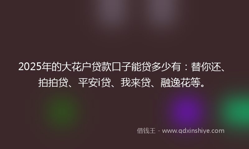 2025年的大花户贷款口子能贷多少有：替你还、拍拍贷、平安i贷、我来贷、融逸花等。