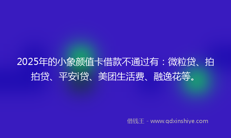 2025年的小象颜值卡借款不通过有：微粒贷、拍拍贷、平安i贷、美团生活费、融逸花等。