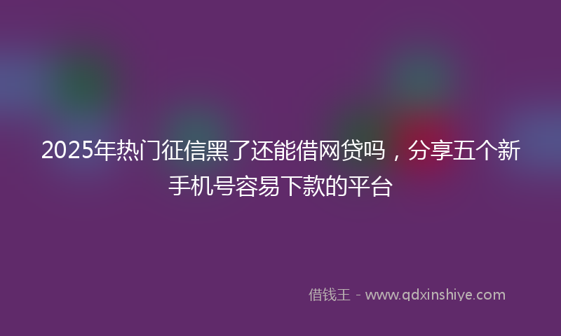 2025年热门征信黑了还能借网贷吗，分享五个新手机号容易下款的平台