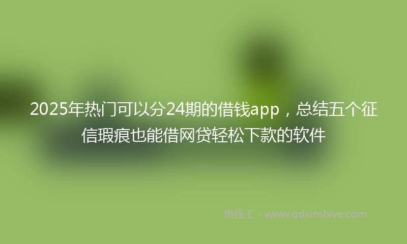 2025年热门可以分24期的借钱app，总结五个征信瑕疵也能借网贷轻松下款的软件