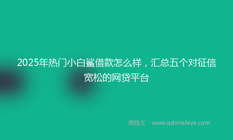 2025年热门小白鲨借款怎么样，汇总五个对征信宽松的网贷平台