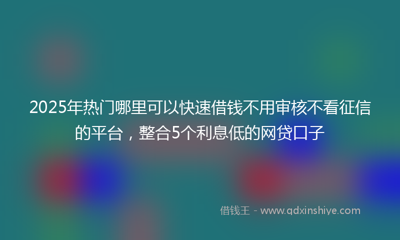 2025年热门哪里可以快速借钱不用审核不看征信的平台，整合5个利息低的网贷口子