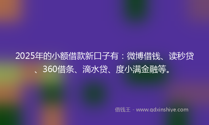 2025年的小额借款新口子有：微博借钱、读秒贷、360借条、滴水贷、度小满金融等。