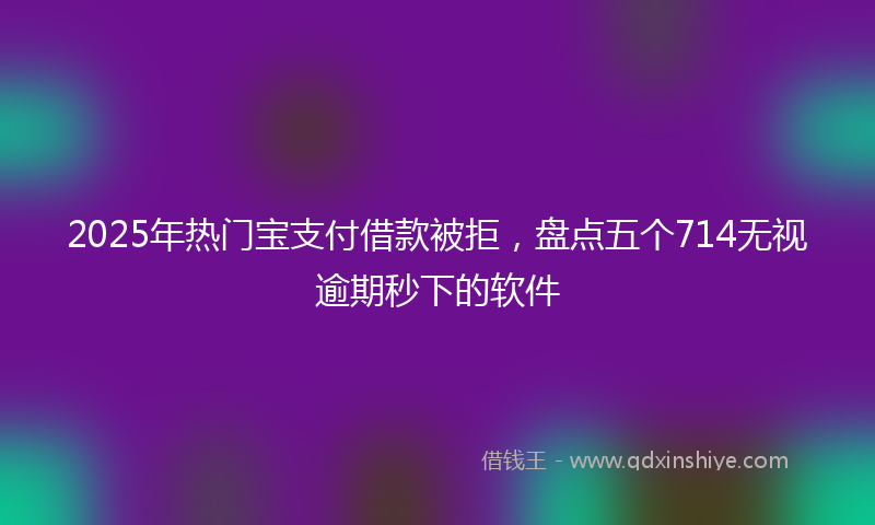 2025年热门宝支付借款被拒，盘点五个714无视逾期秒下的软件