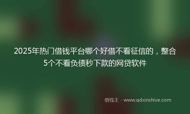 2025年热门借钱平台哪个好借不看征信的，整合5个不看负债秒下款的网贷软件