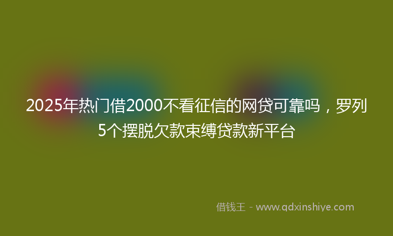 2025年热门借2000不看征信的网贷可靠吗，罗列5个摆脱欠款束缚贷款新平台
