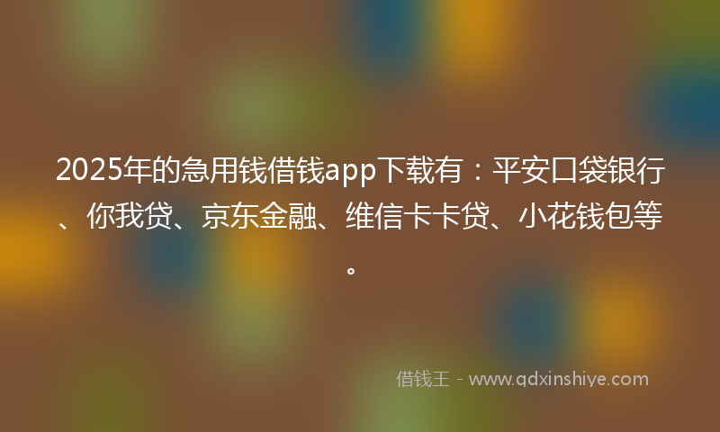 2025年的急用钱借钱app下载有：平安口袋银行、你我贷、京东金融、维信卡卡贷、小花钱包等。