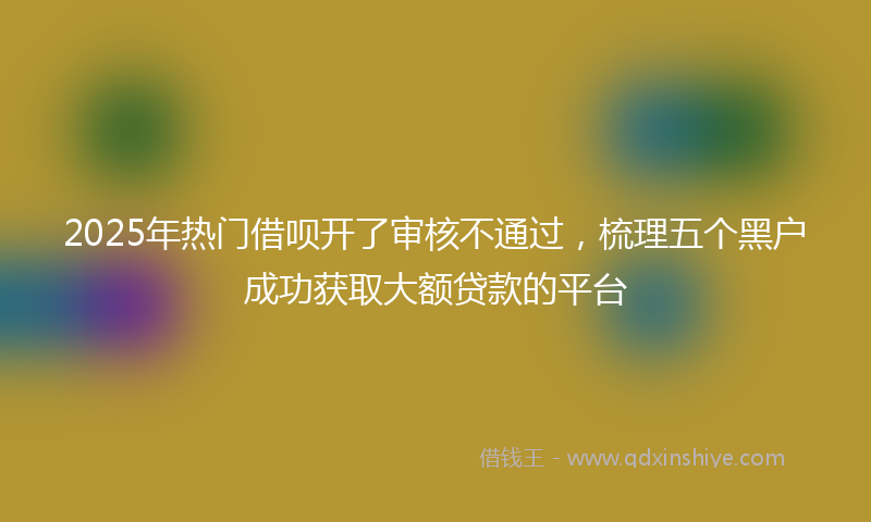 2025年热门借呗开了审核不通过，梳理五个黑户成功获取大额贷款的平台