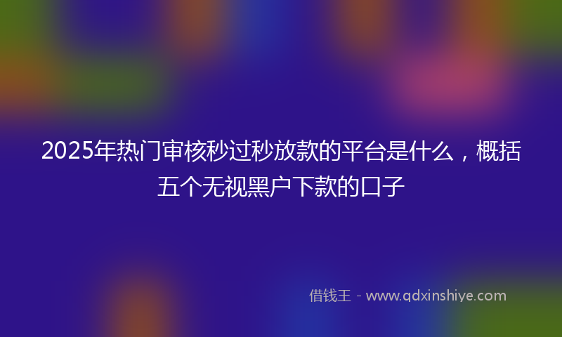 2025年热门审核秒过秒放款的平台是什么，概括五个无视黑户下款的口子