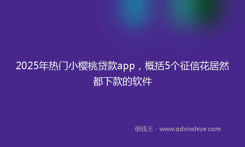 2025年热门小樱桃贷款app，概括5个征信花居然都下款的软件