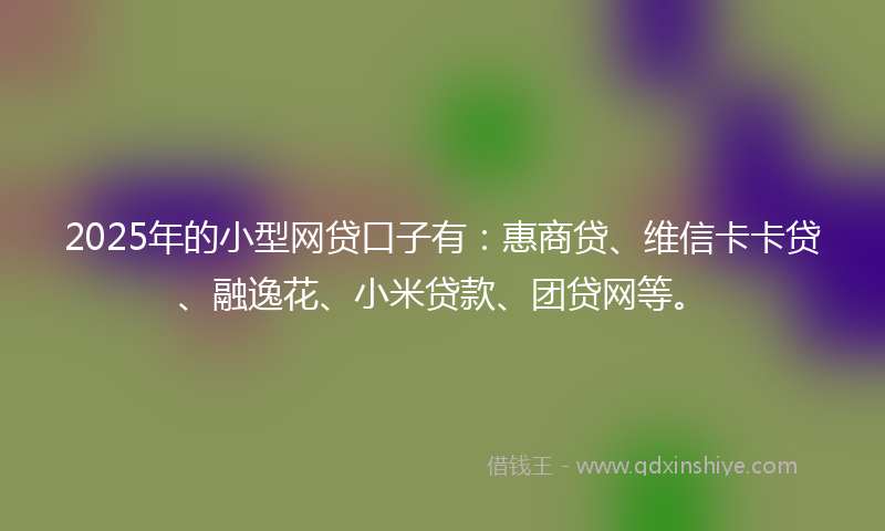 2025年的小型网贷口子有：惠商贷、维信卡卡贷、融逸花、小米贷款、团贷网等。
