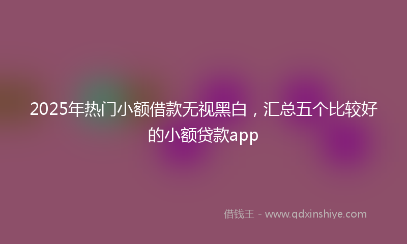 2025年热门小额借款无视黑白，汇总五个比较好的小额贷款app