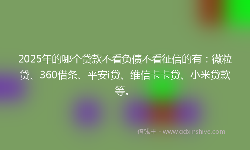 2025年的哪个贷款不看负债不看征信的有：微粒贷、360借条、平安i贷、维信卡卡贷、小米贷款等。