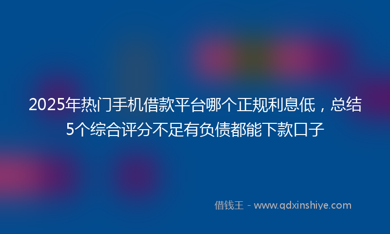 2025年热门手机借款平台哪个正规利息低，总结5个综合评分不足有负债都能下款口子