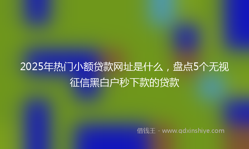 2025年热门小额贷款网址是什么，盘点5个无视征信黑白户秒下款的贷款