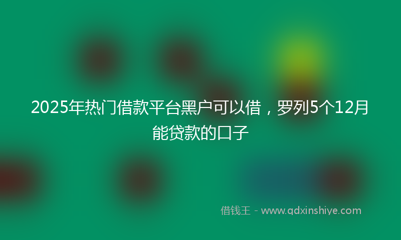 2025年热门借款平台黑户可以借，罗列5个12月能贷款的口子